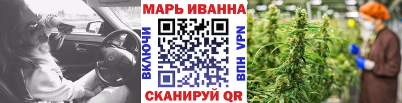 что такое   Цимлянск  Бошки Шишки планчик 